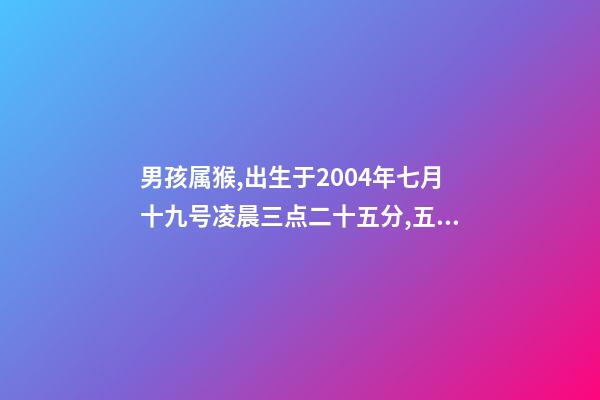 男孩属猴,出生于2004年七月十九号凌晨三点二十五分,五行缺什么 2004年属猴时辰命运,2004年几点出生更好-第1张-观点-玄机派